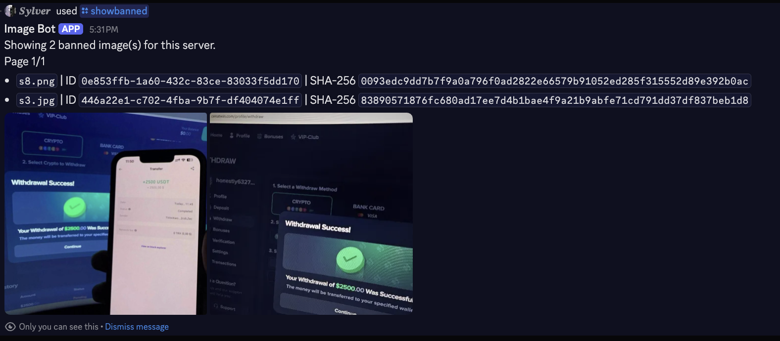 Discord screenshot showing all banned images for a server at a glance
