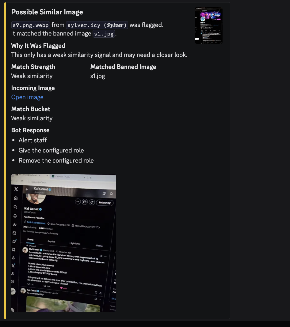 Discord screenshot showing an Image Block possible similar image match report